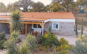 Casa De Celebrar A Vida